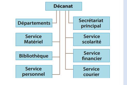 Organisation FLSH